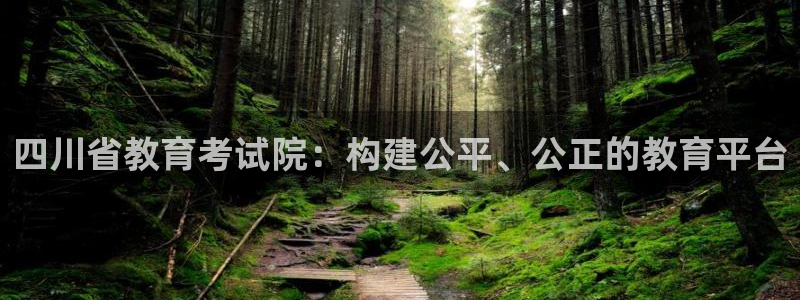 新航线辉煌娱乐会所：四川省教育考试院：构建公平、公正的教育平