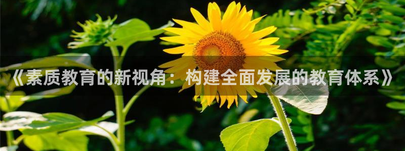 新航海娱乐会所电话是多少：《素质教育的新视角：构建全面发展的