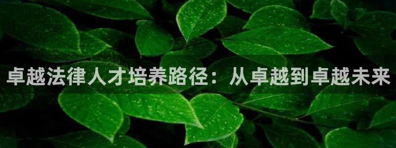 新航娱乐客服电话：卓越法律人才培养路径：从卓越到卓越未来