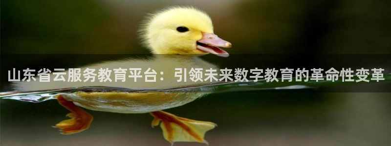 高州新航线娱乐俱乐部：山东省云服务教育平台：引领未来数字教育