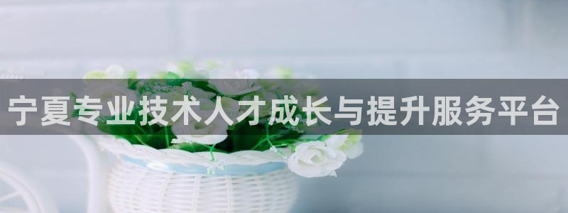 新航娱乐最高返点多少：宁夏专业技术人才成长与提升服务平台