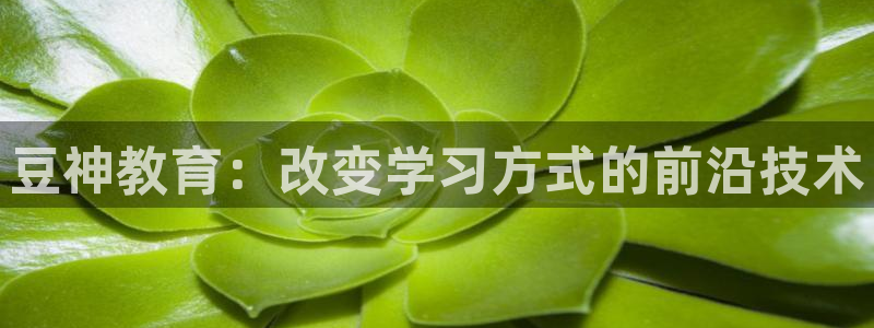 新航娱乐登陆：豆神教育：改变学习方式的前沿技术