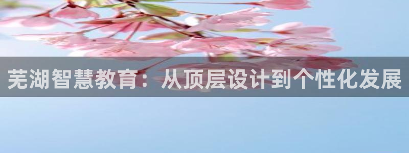 新航娱乐公司怎么样啊：芜湖智慧教育：从顶层设计到个性化发展