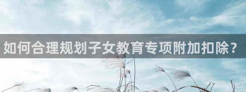 成都中创新航娱乐区：如何合理规划子女教育专项附加扣除？