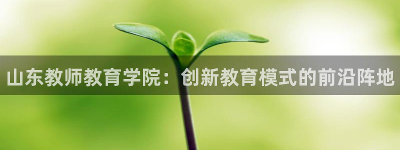 兰山新航线娱乐会所：山东教师教育学院：创新教育模式的前沿阵地