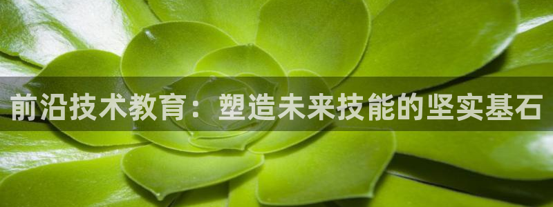 新航娱乐的创始人简介：前沿技术教育：塑造未来技能的坚实基石