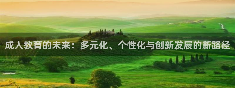 新航娱乐被国家认可吗：成人教育的未来：多元化、个性化与创新发