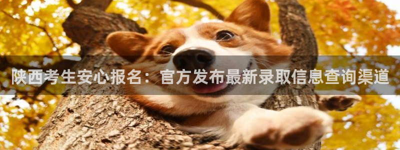 新航娱乐旗下艺人列表：陕西考生安心报名：官方发布最新录取信息