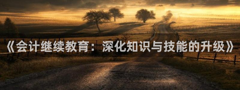 开启娱乐新航线：《会计继续教育：深化知识与技能的升级》