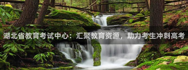 新航娱乐公司地址：湖北省教育考试中心：汇聚教育资源，助力考生