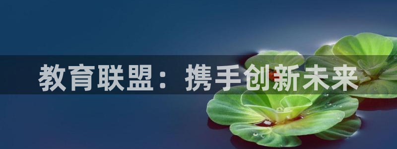 新航娱乐主管：教育联盟：携手创新未来