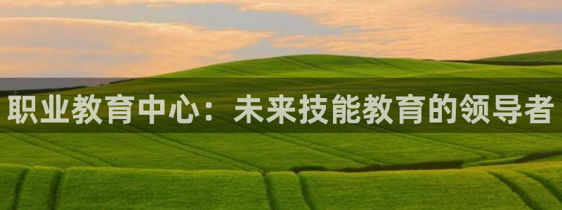 新航海娱乐会所怎么样啊：职业教育中心：未来技能教育的领导者