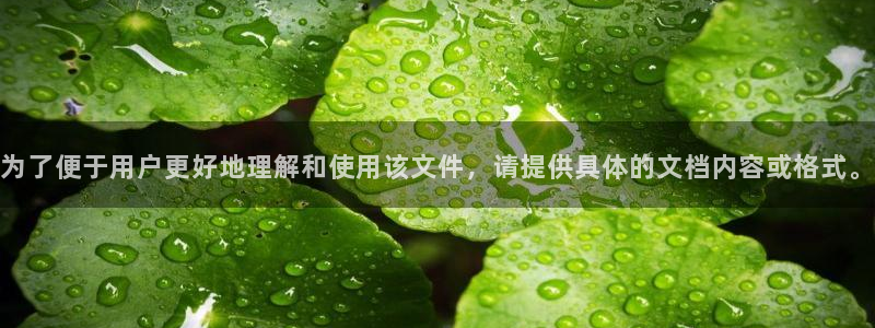 中国新航娱乐在哪个平台：为了便于用户更好地理解和使用该文件，