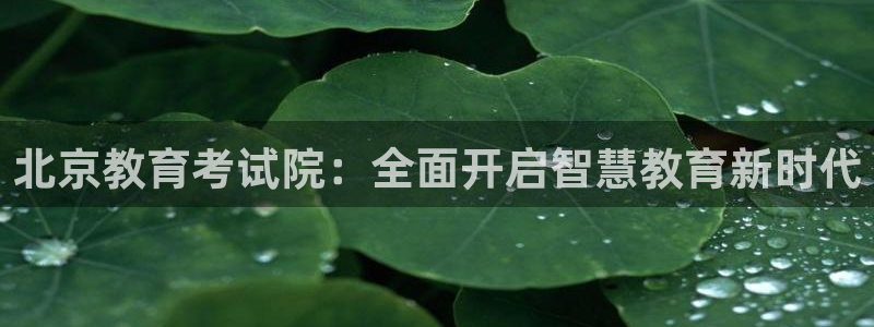 新航娱乐平台注册：北京教育考试院：全面开启智慧教育新时代