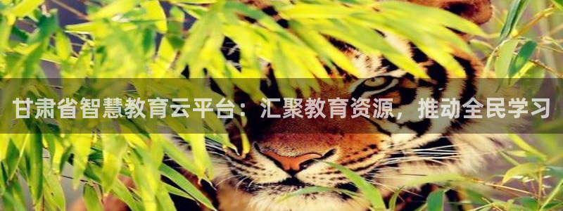 高州市新航线娱乐俱乐部：甘肃省智慧教育云平台：汇聚教育资源，