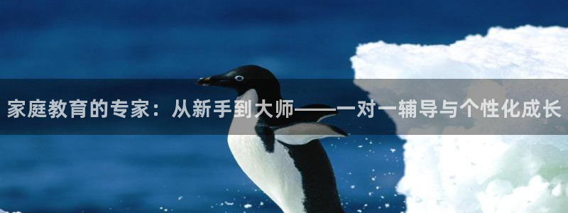 新航娱乐属于什么档次：家庭教育的专家：从新手到大师——一对一
