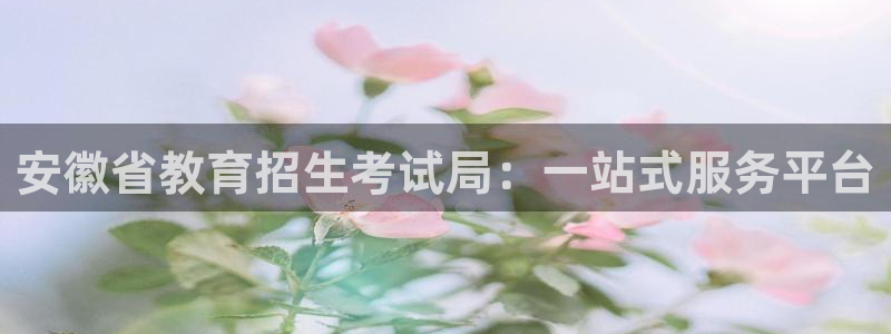 新航头等舱套房娱乐屏：安徽省教育招生考试局：一站式服务平台