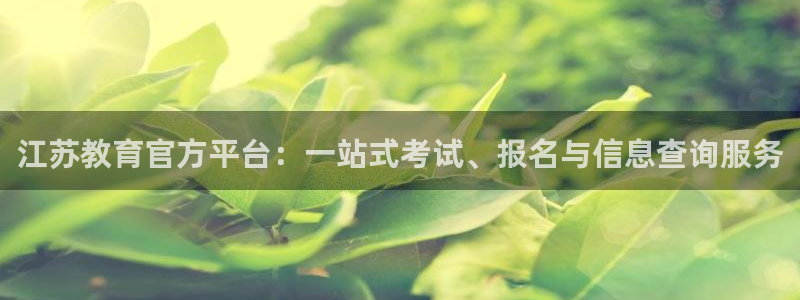 新航娱乐q被骗：江苏教育官方平台：一站式考试、报名与信息查询