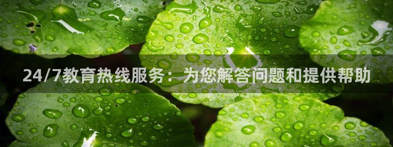 新航文化娱乐传媒怎么样：24/7教育热线服务：为您解答问题和