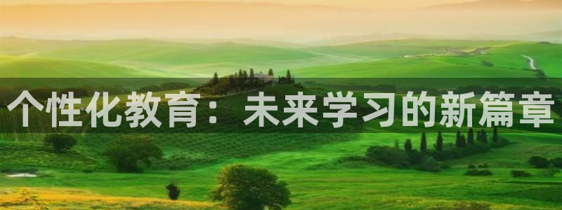 新航娱乐入网要求：个性化教育：未来学习的新篇章