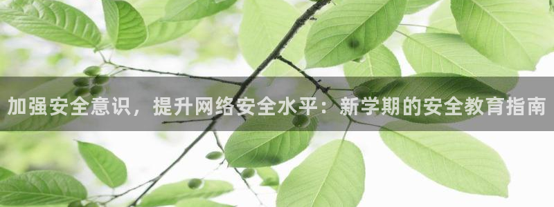 新航娱乐app下载安卓：加强安全意识，提升网络安全水平：新学