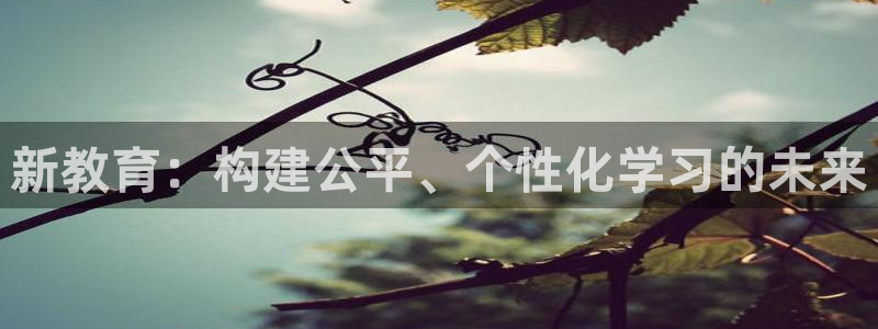 娱乐新航标：新教育：构建公平、个性化学习的未来