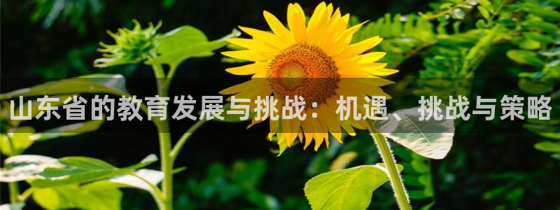 南京新航娱乐会所地址：山东省的教育发展与挑战：机遇、挑战与策