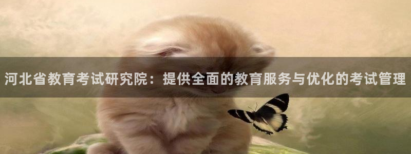 新航娱乐系统设置：河北省教育考试研究院：提供全面的教育服务与