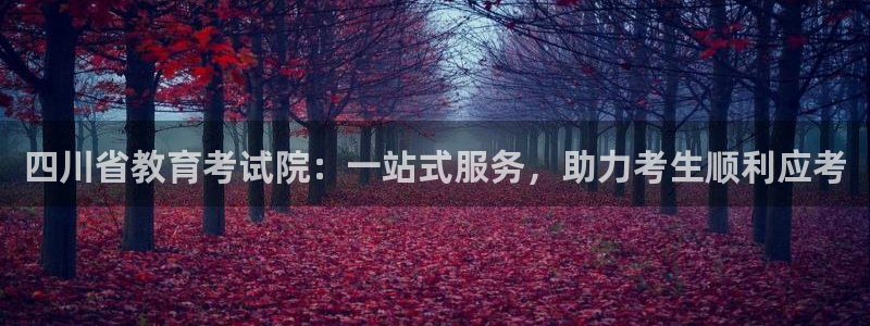 金城娱乐新航母：四川省教育考试院：一站式服务，助力考生顺利应