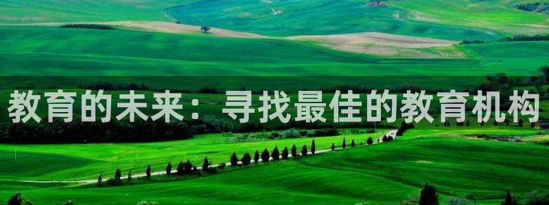 新航娱乐app下载地址：教育的未来：寻找最佳的教育机构