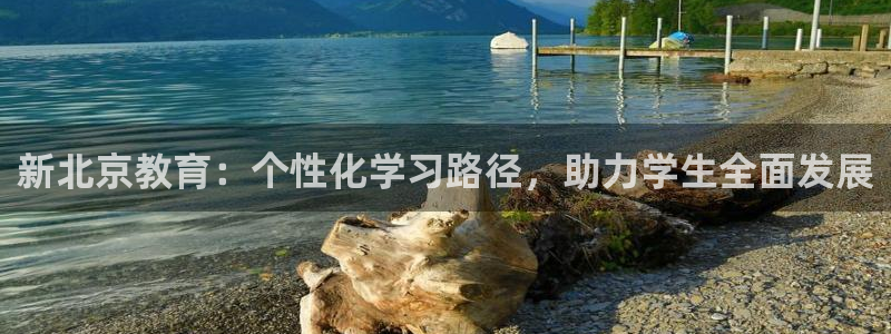 新航娱乐登陆：新北京教育：个性化学习路径，助力学生全面发展