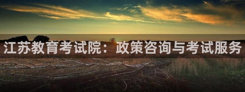 新航娱乐直开怎么下载：江苏教育考试院：政策咨询与考试服务