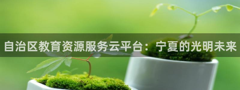 南京新航娱乐：自治区教育资源服务云平台：宁夏的光明未来