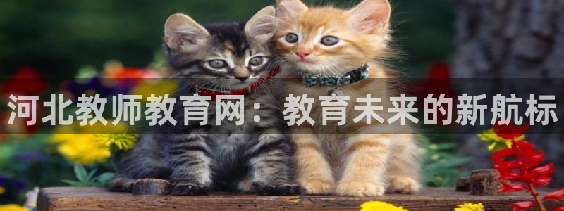 新航娱乐官网注册入口：河北教师教育网：教育未来的新航标