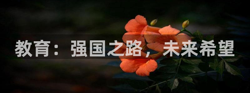 新航娱乐传媒：教育：强国之路，未来希望