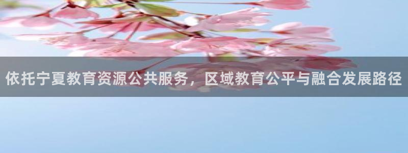 新航娱乐有限公司地址