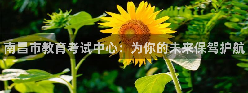 新航娱乐客服电话：南昌市教育考试中心：为你的未来保驾护航
