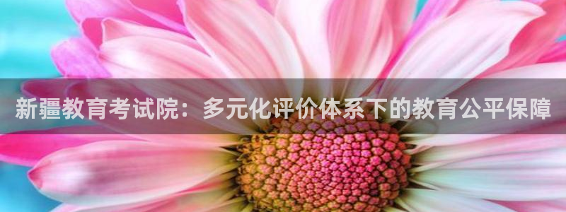 高州新航线娱乐俱乐部：新疆教育考试院：多元化评价体系下的教育