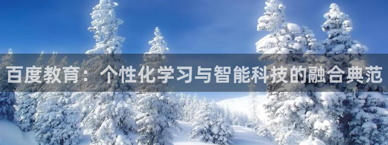 成都中创新航娱乐区：百度教育：个性化学习与智能科技的融合典范