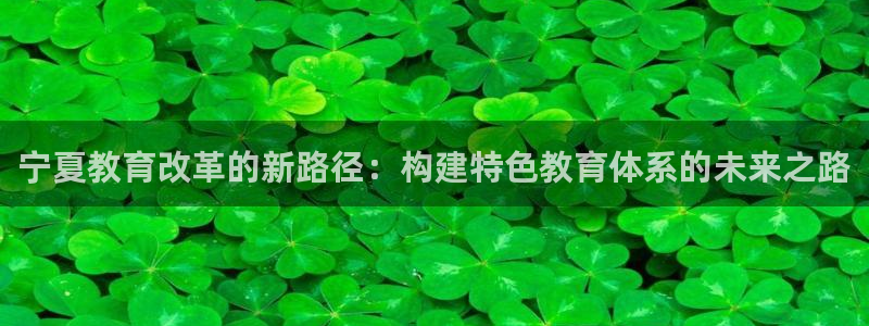 新航娱乐公司怎么样：宁夏教育改革的新路径：构建特色教育体系的
