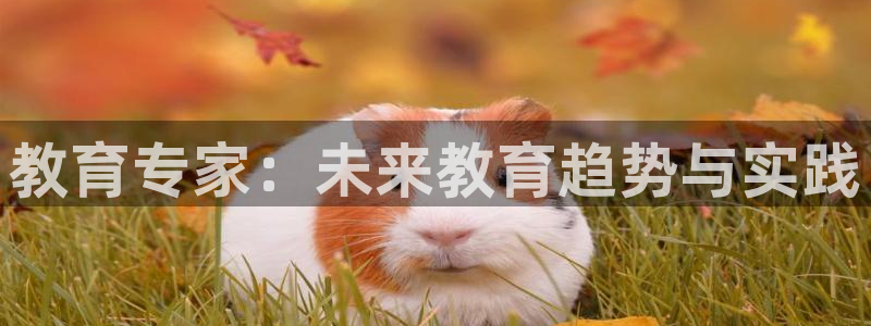 新航面试娱乐：教育专家：未来教育趋势与实践