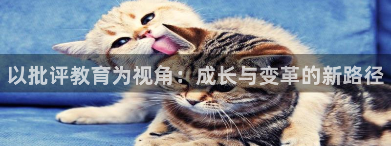 新航娱乐app下载安装：以批评教育为视角：成长与变革的新路径