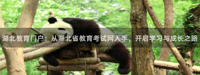 新航佳苑娱乐：湖北教育门户：从湖北省教育考试网入手，开启学习