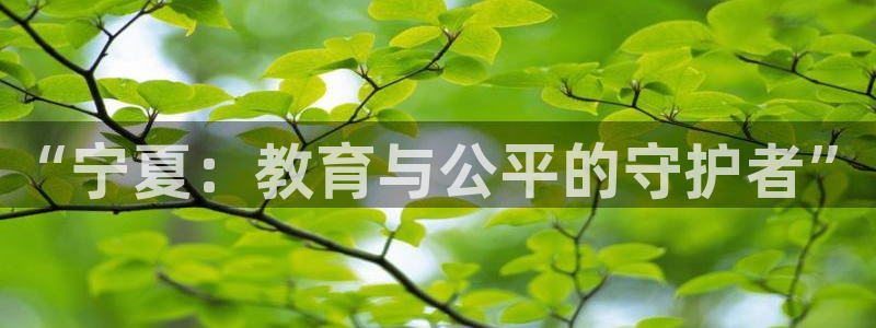 新航娱乐下载安装：“宁夏：教育与公平的守护者”