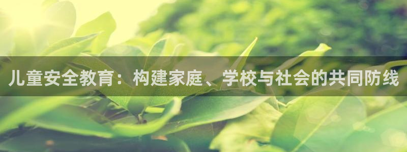 新航娱乐登录入口：儿童安全教育：构建家庭、学校与社会的共同防