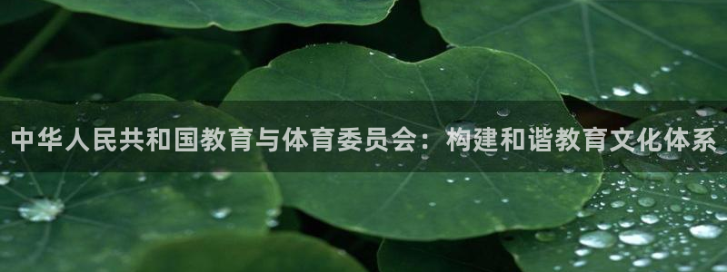 新航娱乐有限公司招聘：中华人民共和国教育与体育委员会：构建和