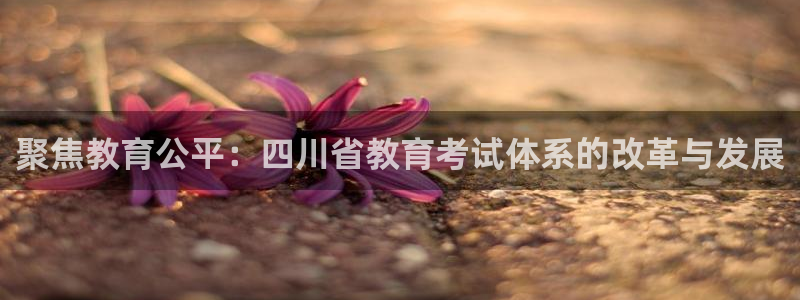 阜新航空娱乐：聚焦教育公平：四川省教育考试体系的改革与发展