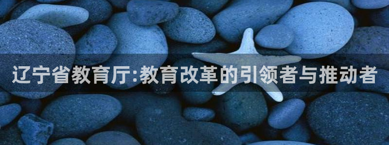 新航娱乐最新消息：辽宁省教育厅:教育改革的引领者与推动者