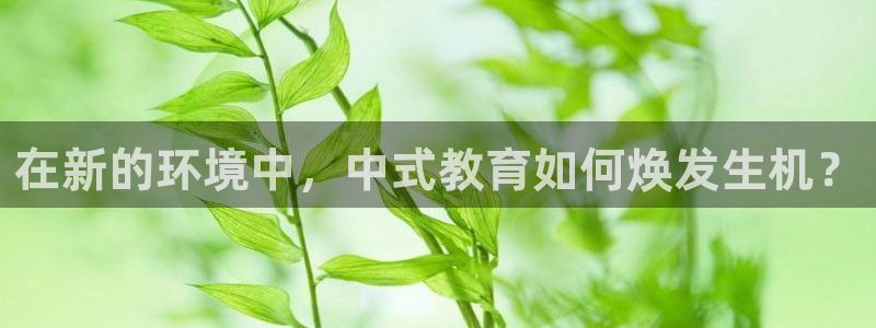新航线辉煌娱乐会所：在新的环境中，中式教育如何焕发生机？