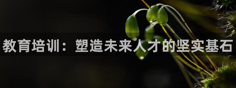 新航线娱乐会所：教育培训：塑造未来人才的坚实基石